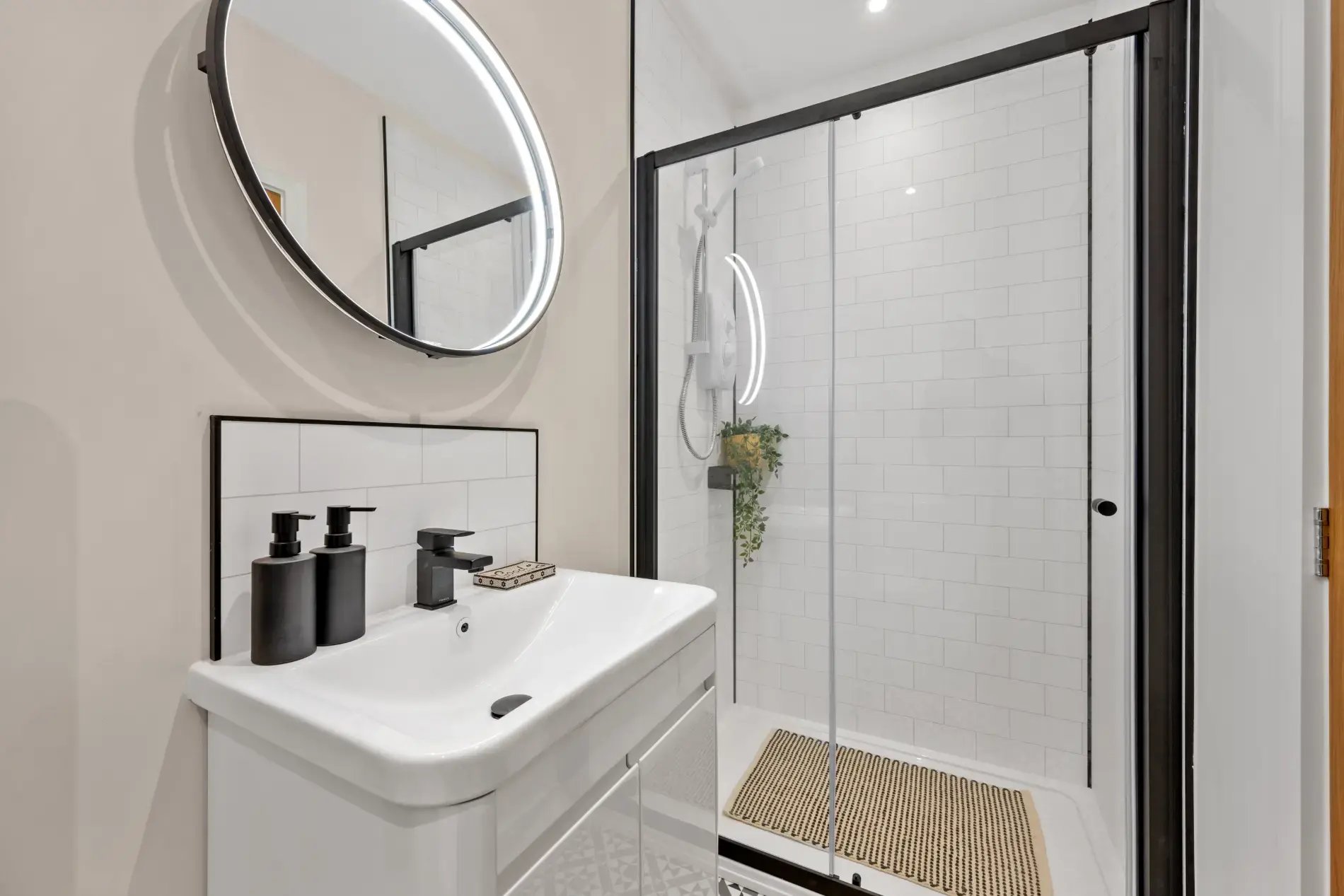 Boutique-homes-bawdlands-showerroom-8a