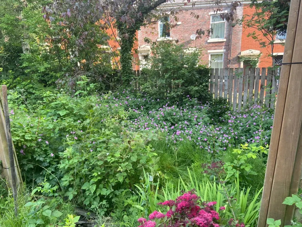 dbc-landscaping-regency-view-before-7